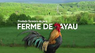 Download Lagu La Ferme De Layau MP3 Download Lagu La Ferme De Layau MP3