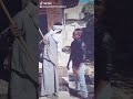 نسر الصعيد 