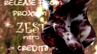 Zest intro by Proxium