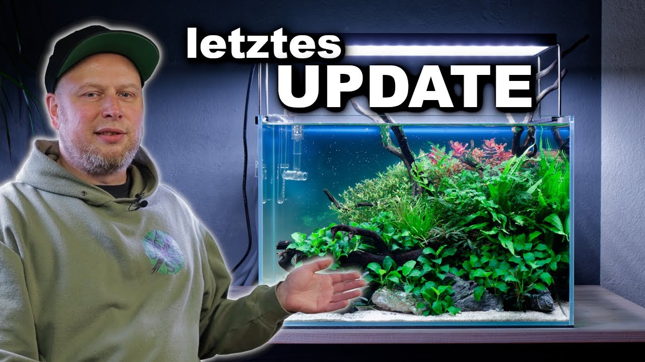 LYNKO Große Aquariu Pflanzen Künstlich Wasserpfla Produktbild-Vorschau 11