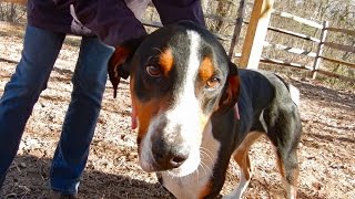 FOHA Buddies -  12/22/2016