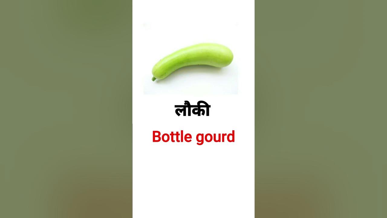 lauki-in-english-bottle-gourd