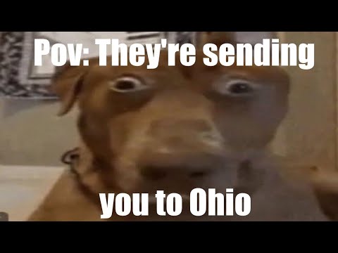 Skeleton 💀 roasting Top 5 Ohio