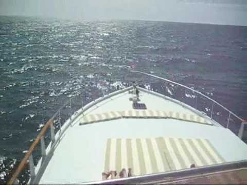 Bird Island Aboard PACIFICA 96' Luxury Yacht Rocky...
