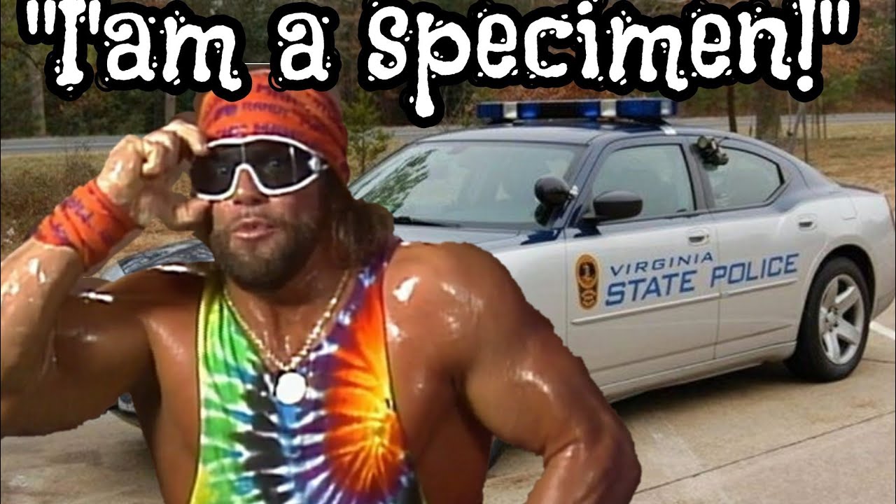 INSANE VIDEO! COP TURNS INTO A PROFESSIONAL WRESTLER MID TRAFFIC STOP?