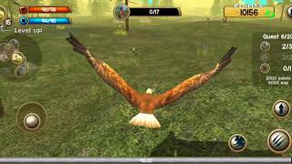 Wild Eagle Sim 3D game لعبة الصقر البرى screenshot 1