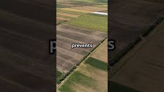 Boost Your Soil Fertility Naturally