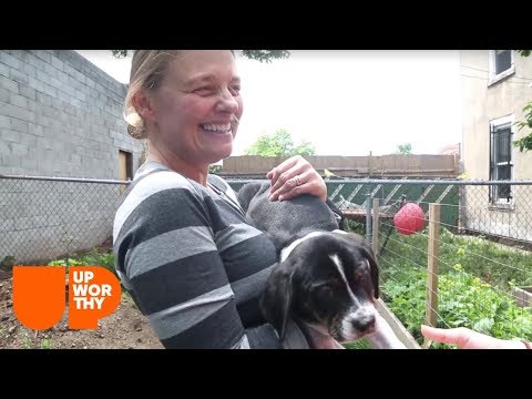 Video: Sklonište: Hull's Haven Border Collie Rescue