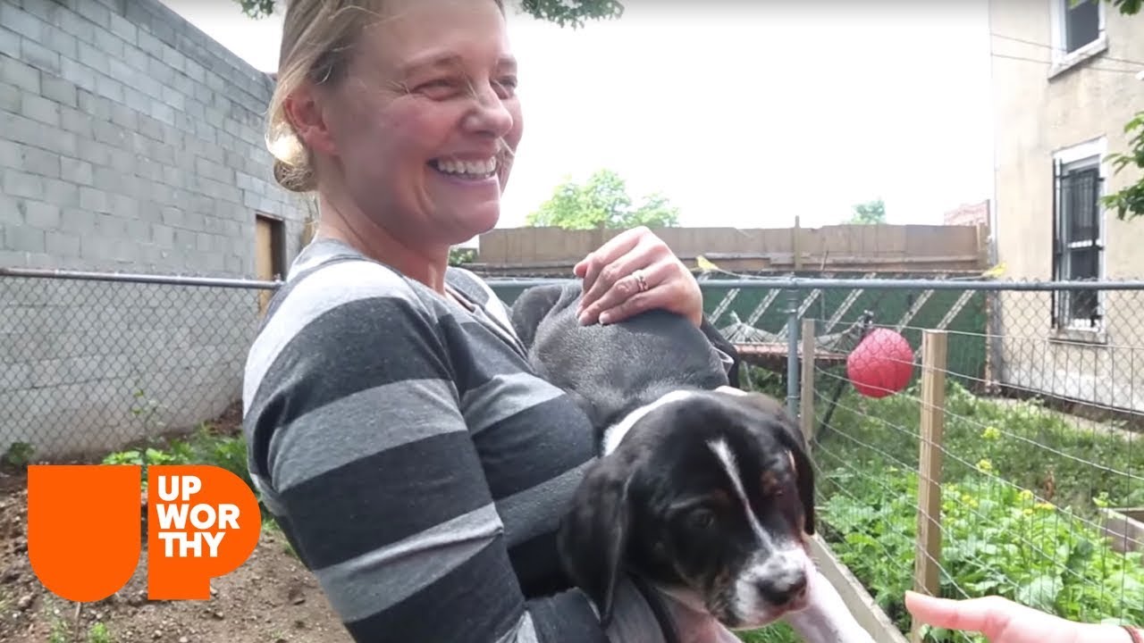 How a Small Shelter Has RESCUED 1400 DOGS From Death Row! - YouTube