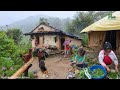 Fresh from the Green house Simple Nepali Village Cooking in Nature in Rainy Day |