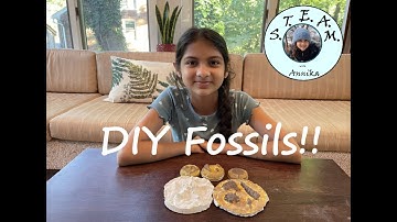 DIY Fossils | Art | STEAM with Annika
