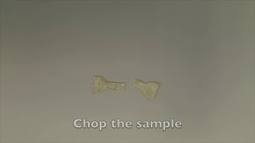 M.C. Demirel Lab: self-healing polymer