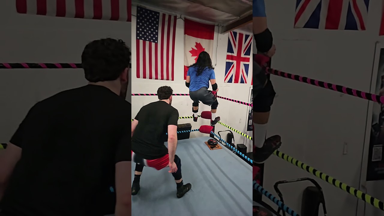 Moonsault Inverted DDT 