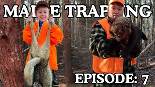 Remote Maine Trapline Episode 7, Two Dog Night