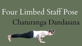 Chaturanga Dandasana - Four Limb Staff — YOGARU