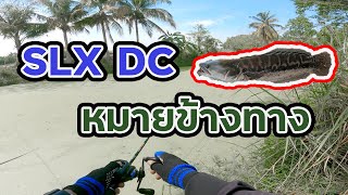 ขับมอไซค์ไปออกหมายข้างทาง กับรอก SLX DC #ตกปลา #ตกปลาข้างทาง #slxdc #ตกชะโด