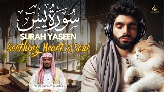 Surah Yasin (Yaseen) سورة يس | Soothing Heart & Soul with English Translation in 4K | AlifLamRa_