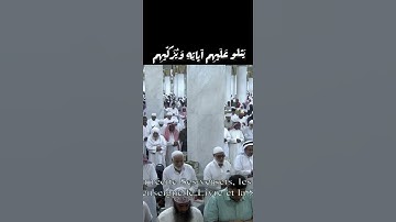 لقد من الله على المؤمنين إذ بعث فيهم رسولا من أنفسهم يتلو عليهم آياته ويزكيهم ويعلمهم الكتاب والحكمة