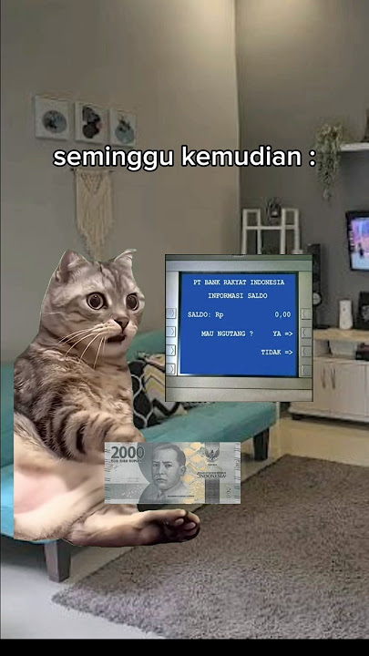 Saat lu baru gajian #meme #memekucing #memes #greenscreen #kucing #kucinglucu #shorts