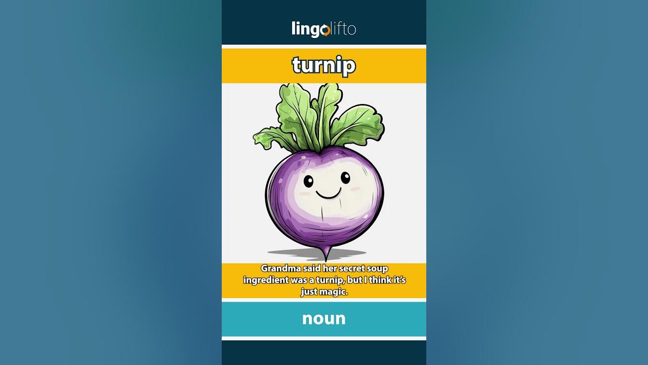 turnip-meaning-flash-card-learn-english-vocabulary-youtube