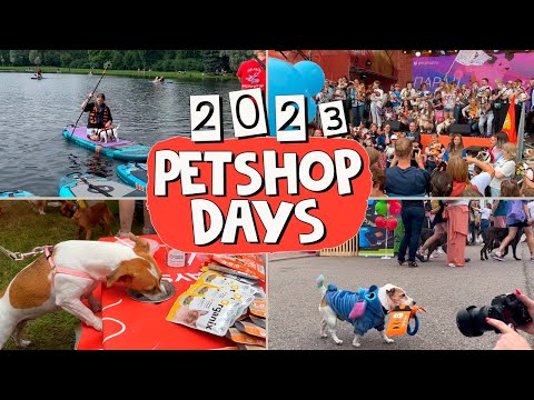 PetShop Days 2023. Собаки в восторге. Поплавали на сапах, посетили собачий ресторан