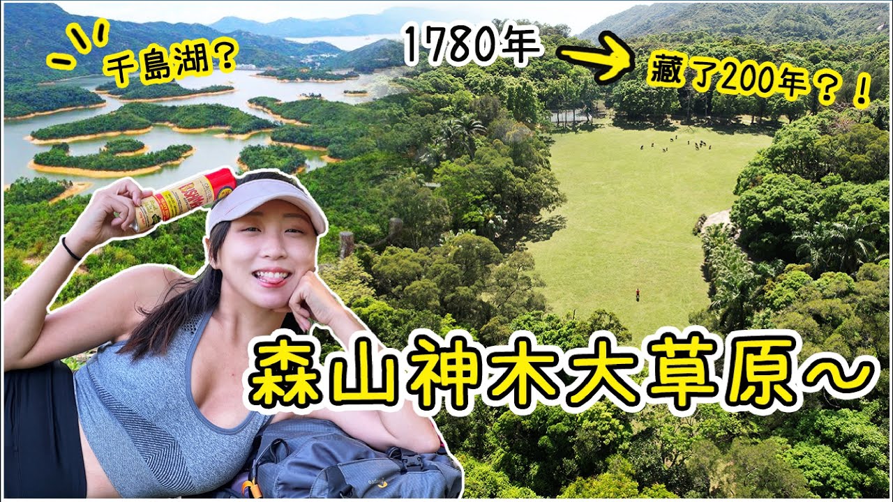 藏了200年的森山大草原？1小時到的野餐地點～駕車直到？獨霸千島湖秘道！｜ Ft.博士文 最強蚊怕水 ｜圓墩 千島湖