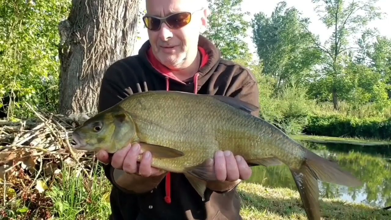 peche rapide au feeder en petite rivière