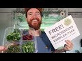 Free Microgreens Sampler Pack (how to and downloads)