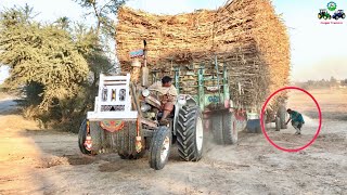 Tractor Fail | Ford & Belarus Fail to Pull out Heavy loaded Trailer 🔥🔥