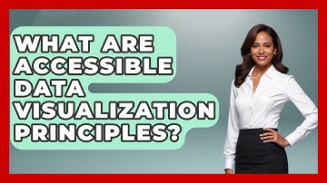What Are Accessible Data Visualization Principles? - Demographic Data Answers