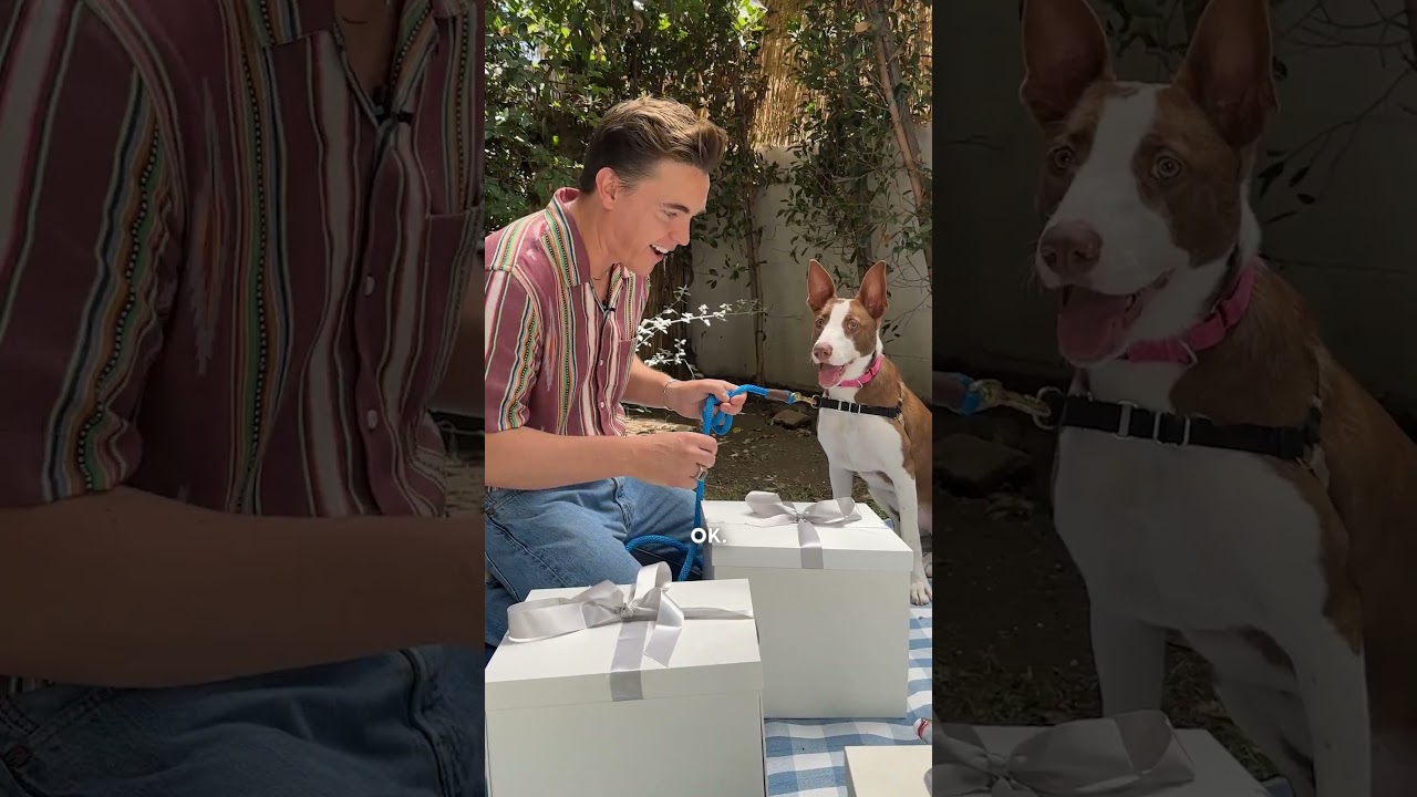 Jesse McCartney Writes A Song For His Dodo Dream Date! | The Dodo