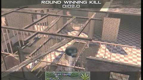 MW2- Best Grenade Ever