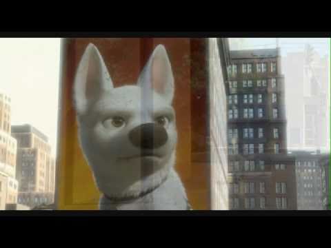 Bolt el super perro - a thousand days.