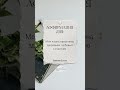 Программируй позитив каждый день #аффирмации #счастье #мышление