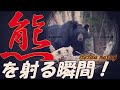 【観覧注意】脳天を撃ち抜け！ 熊 VS 秩父マタギ １３０ｋｇのツキノワグマと遭遇！