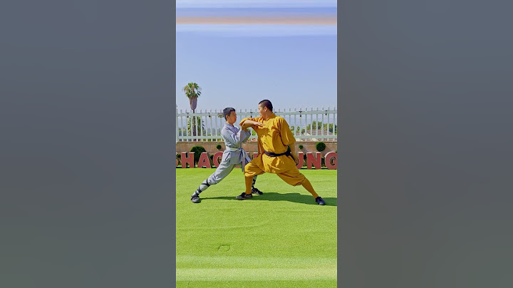 😱 Shaolin Kung Fu Lian Huan Quan Demonstration 👊 #連環拳  #少林功夫  表演 示範 連環拳 對練 Performance show #shorts