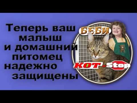 Сетки на окна для кошек