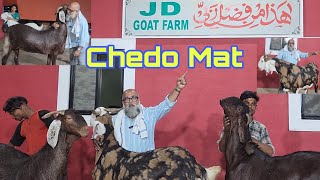 Main Jawaab Nahi Deta | Bakro Ki Tyaari Jawaab Degi | JD Goat Farm Ke Palai Results | Imran Bhai.