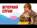 Вечерний стрим! Поговорим обо всем