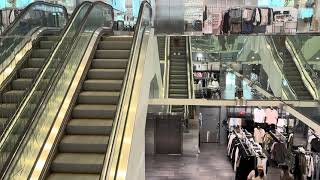 Schindler 9300AE escalators @ H&M (Tysons Corner Center)