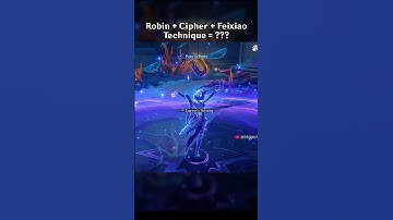 ROBIN + CIPHER + FEIXIAO TECHNIQUE = ???