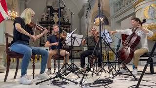 Peter Heise: String Quartets Vol. 1 (album trailer)