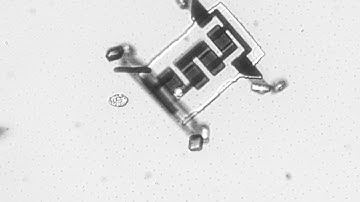Computer chips morph into tiny robots with medical applications