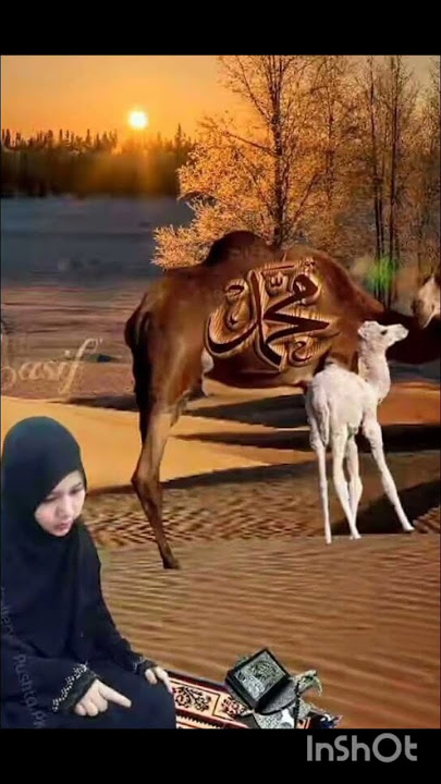 https://vt.tiktok.com/ZSUbGHGJ3/