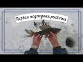 Зимняя рыбалка. Октябрь 2021. Хариус. Полдледная рыбалка. Arctic Grayling. Камчатка. Пенжина .