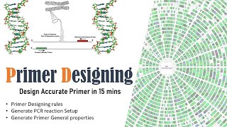 PCR Primer Designing | NCBI Primer BLAST | In silico PCR primer designing and validation