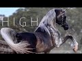 High || Arabian Horse Music Video ||