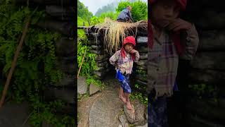 Traditional Nepali Mountain Riverside Water Mill 🌊🏔️ | Authentic Himalayan Village Life Traditional Nepali Mountain Riverside Water Mill 🌊🏔️ | Authentic Himalayan Village Life