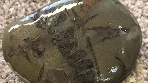 Fossil Hunting at Sandsend EP 52 - Pt 2