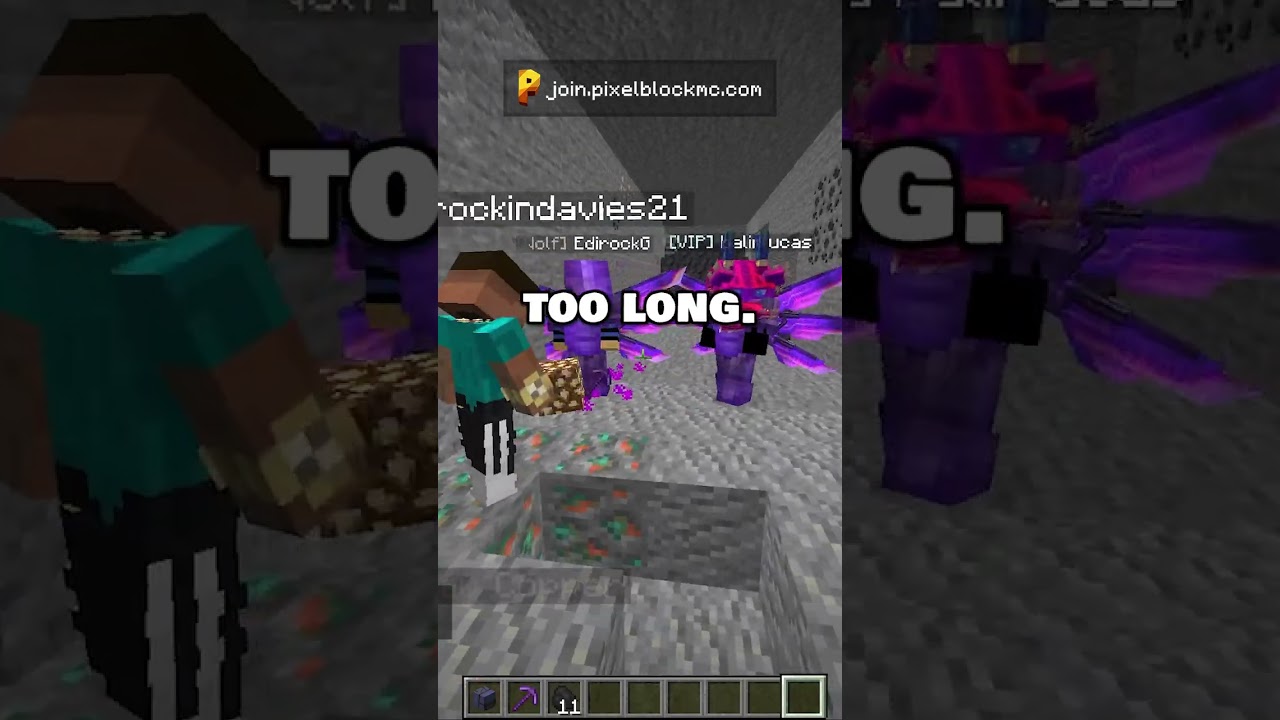 They needed help on this minecraft server 